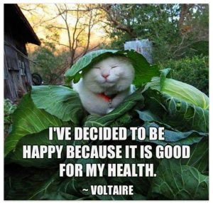 Thought For The Month
