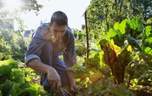 Regenerative Farming