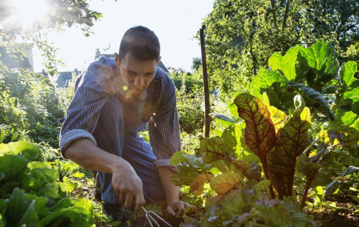 Regenerative Farming